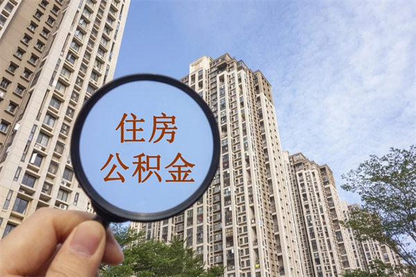 公积金还看征信吗吗_楚雄公积金代办在职离职封存服务